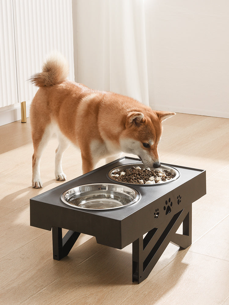 Pet Feeder