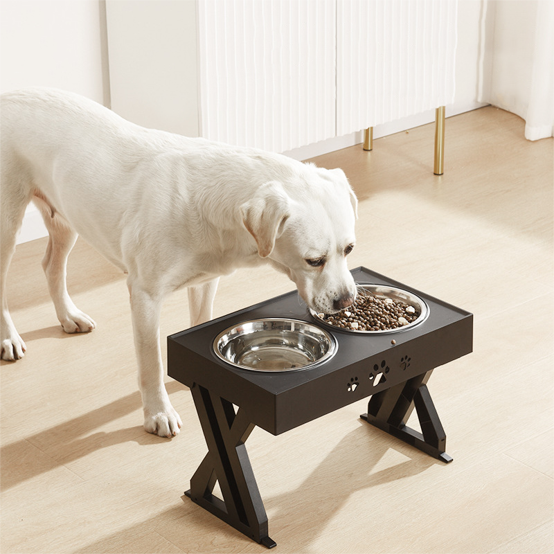 Pet Feeder